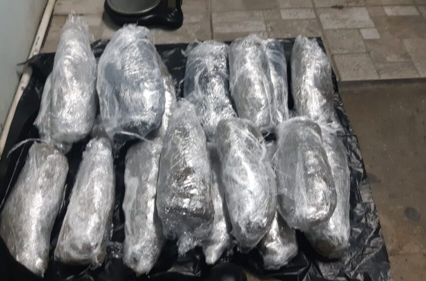 2 Held for Marijuana aboard the Cabo Star - AZP News