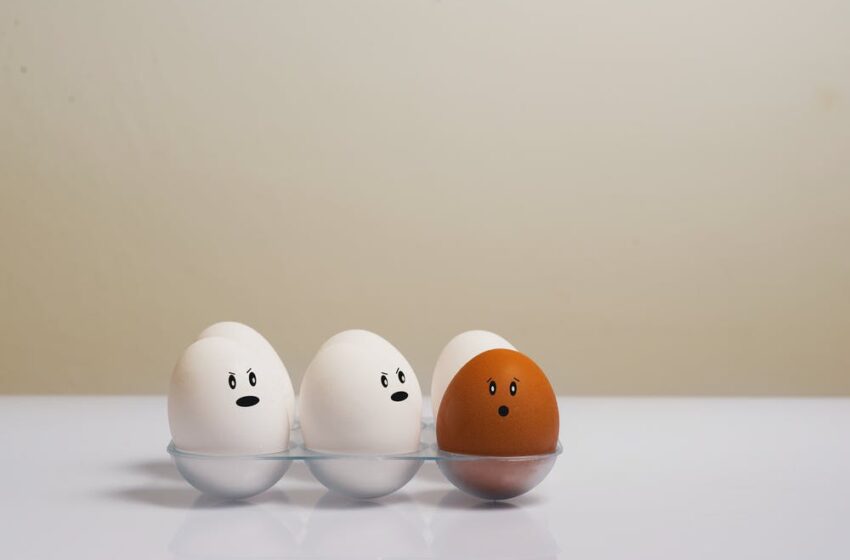 How to File a Matter with the Equal Opportunity Commission