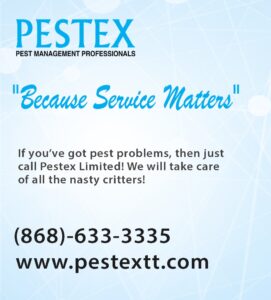 https://www.pestextt.com/