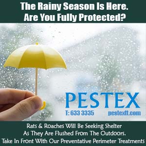 https://www.pestextt.com/