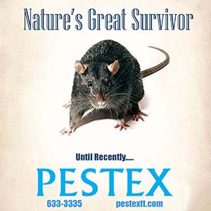 https://www.pestextt.com/