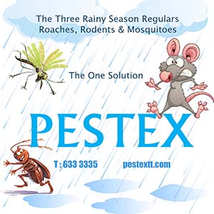 https://www.pestextt.com/