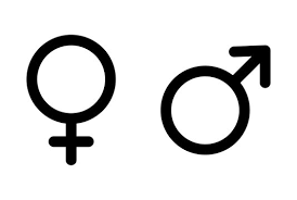  Media: Women as Sex Objects?