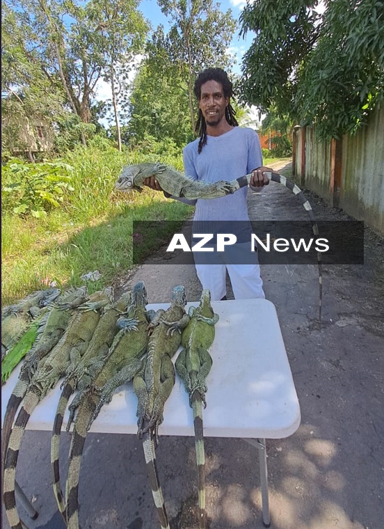 Michael Edwards displays his iguanas for sale at Sobo Village. AZP News/Prior Beharry