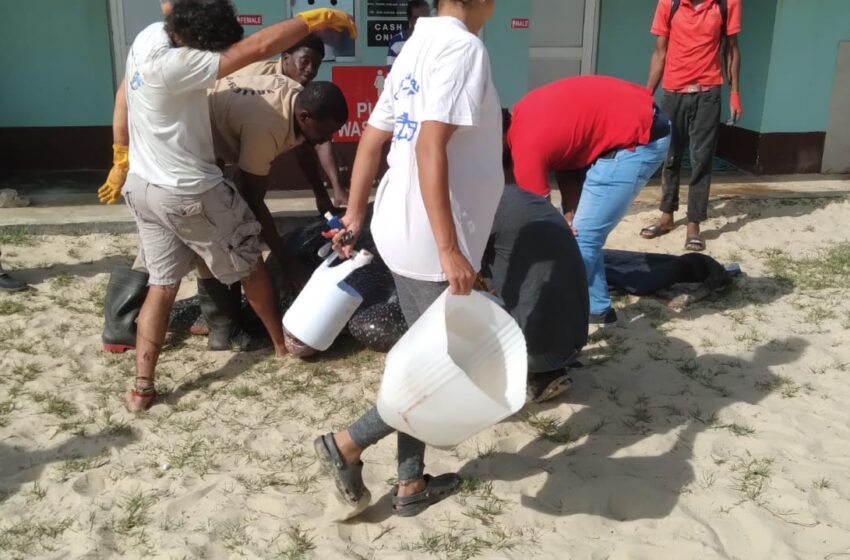  2,500 Pound Turtle Rescued on Maracas Beach