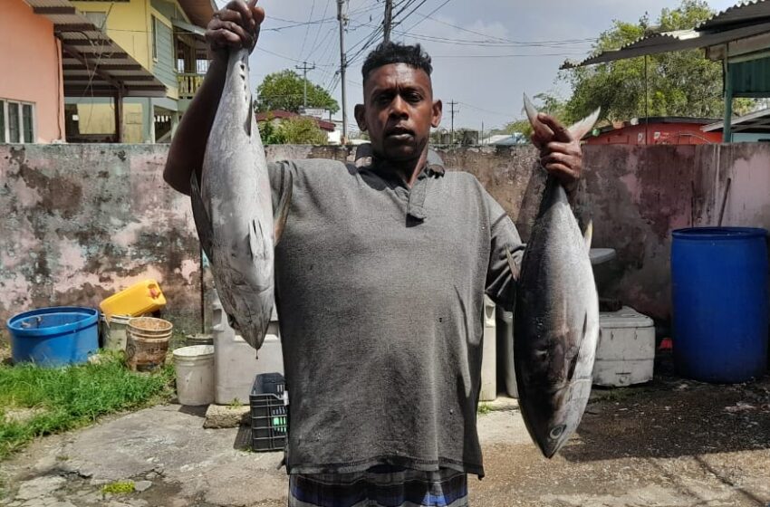  History of Flying Fish Dispute Between Barbados/T&T  Claims of overfishing in Tobago waters 