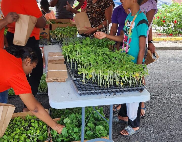  Paray Distributes 25,000 Seedlings