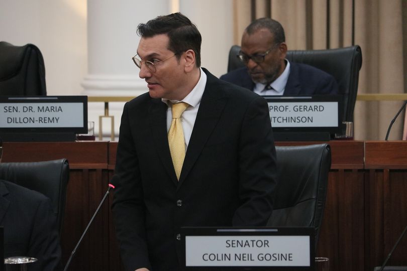 Temporary Opposition Senator Neil Gosine. Photo: T&T Parliament