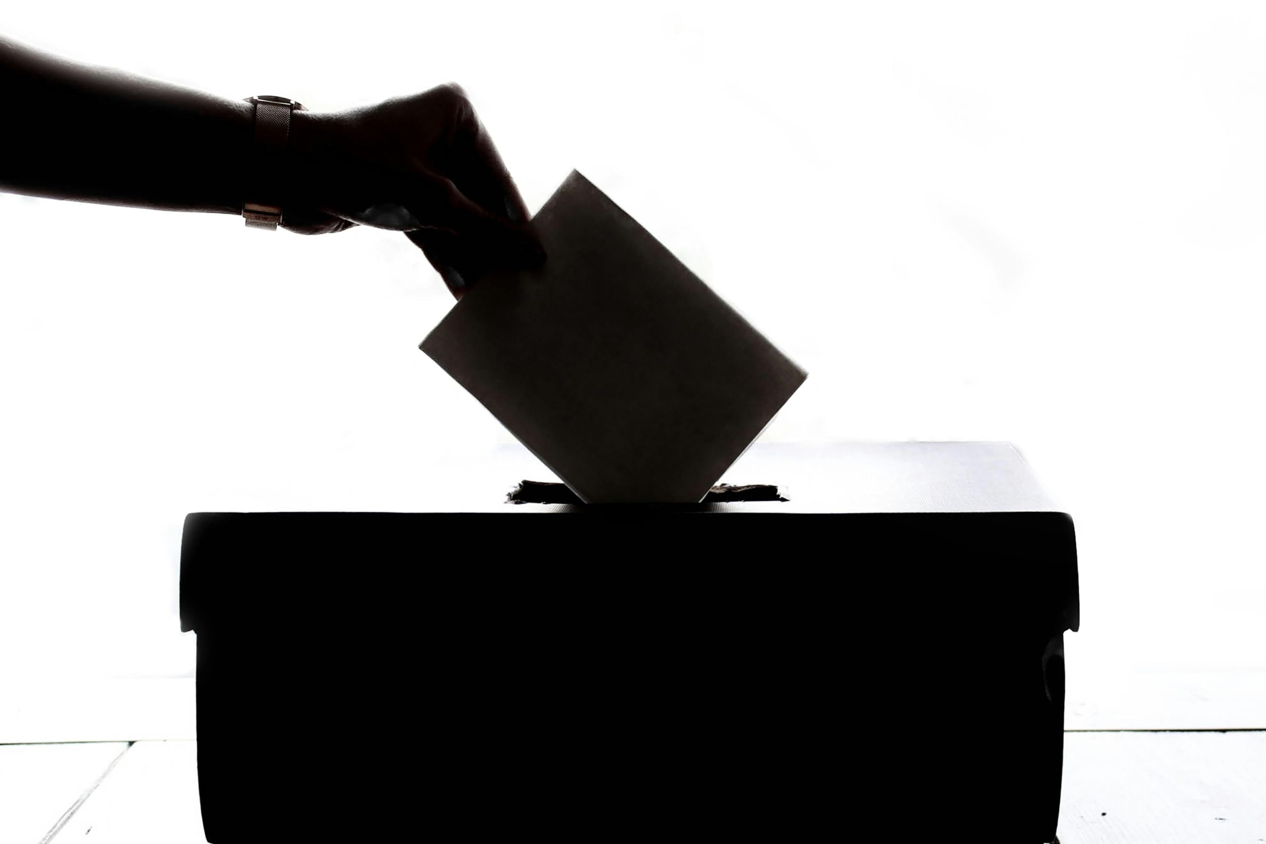 Vote, ballot