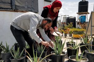 PALESTINIAN-ECONOMY-GAZA-ISRAEL-CONFLICT