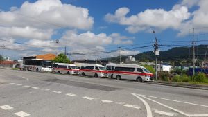 Maxi taxis on the Priority Bus Route at Mt Hope. AZP News/Sue-Ann Wayow