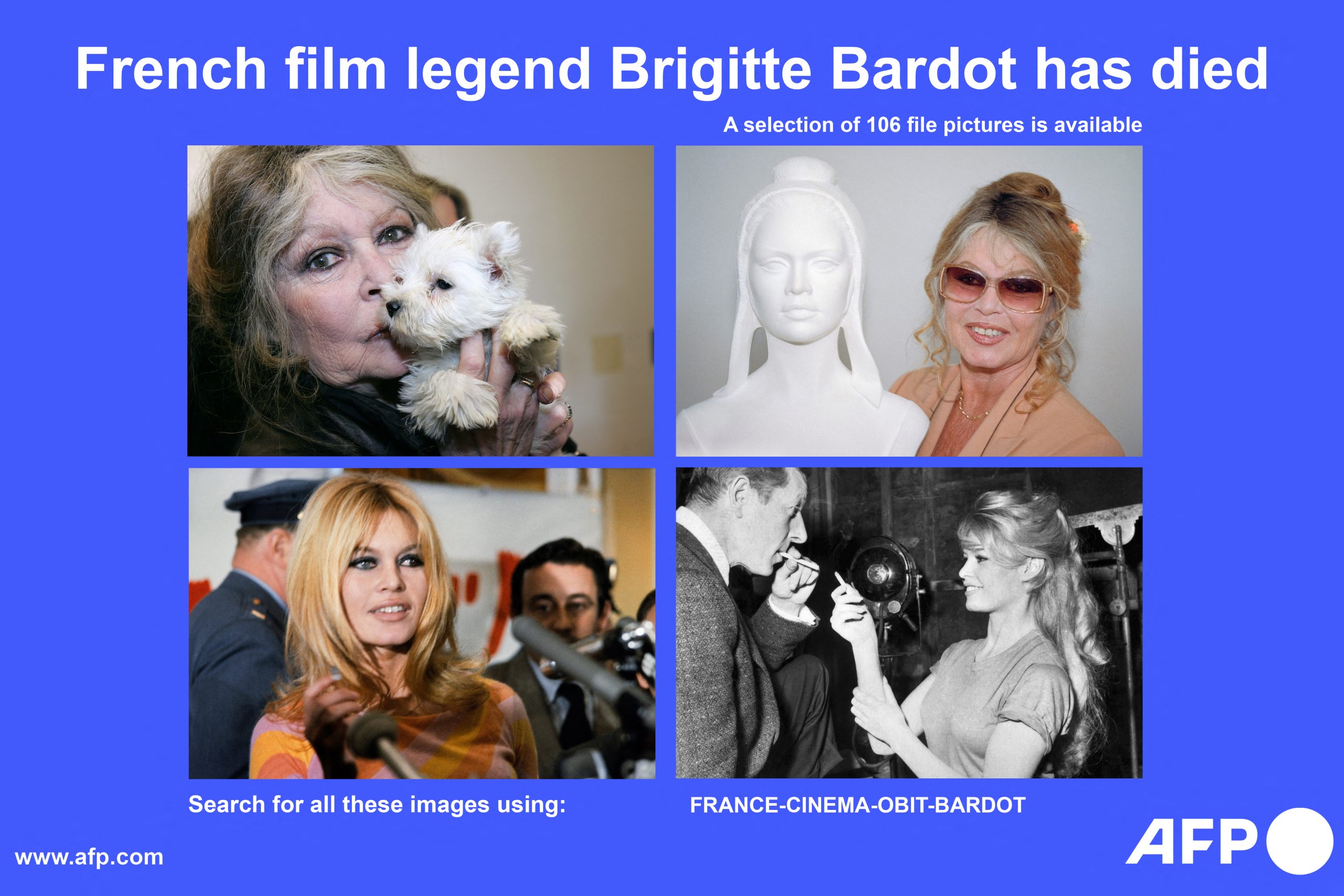 FRANCE-CINEMA-OBIT-BARDOT