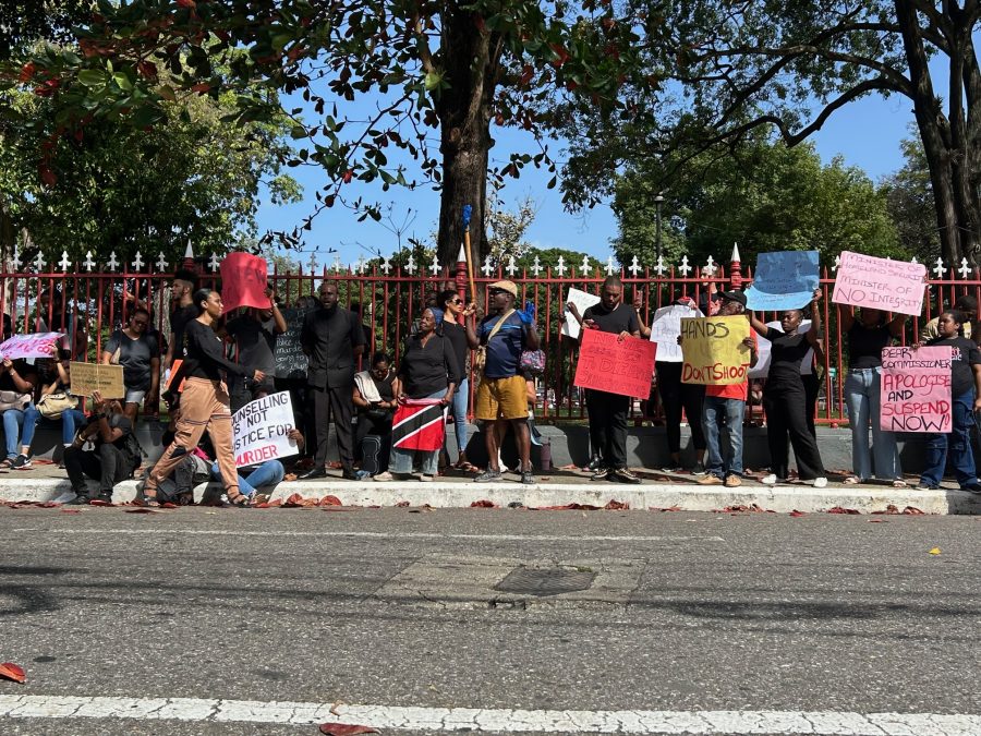 Protestors outside the Red House on Sunday