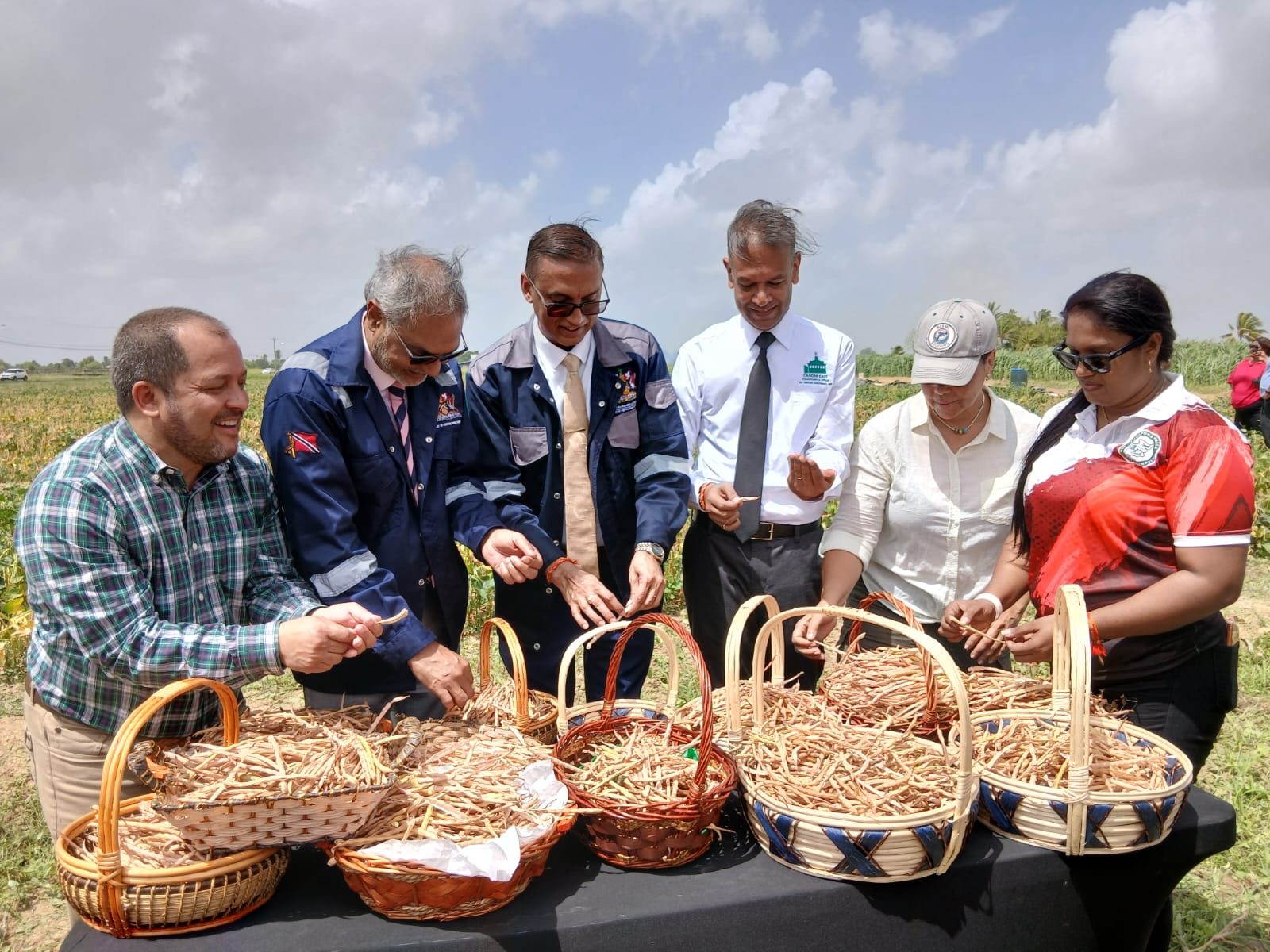 Caption: Minister of Agriculture and Fisheries Ravi Ratiram and officials with the black eye beans
