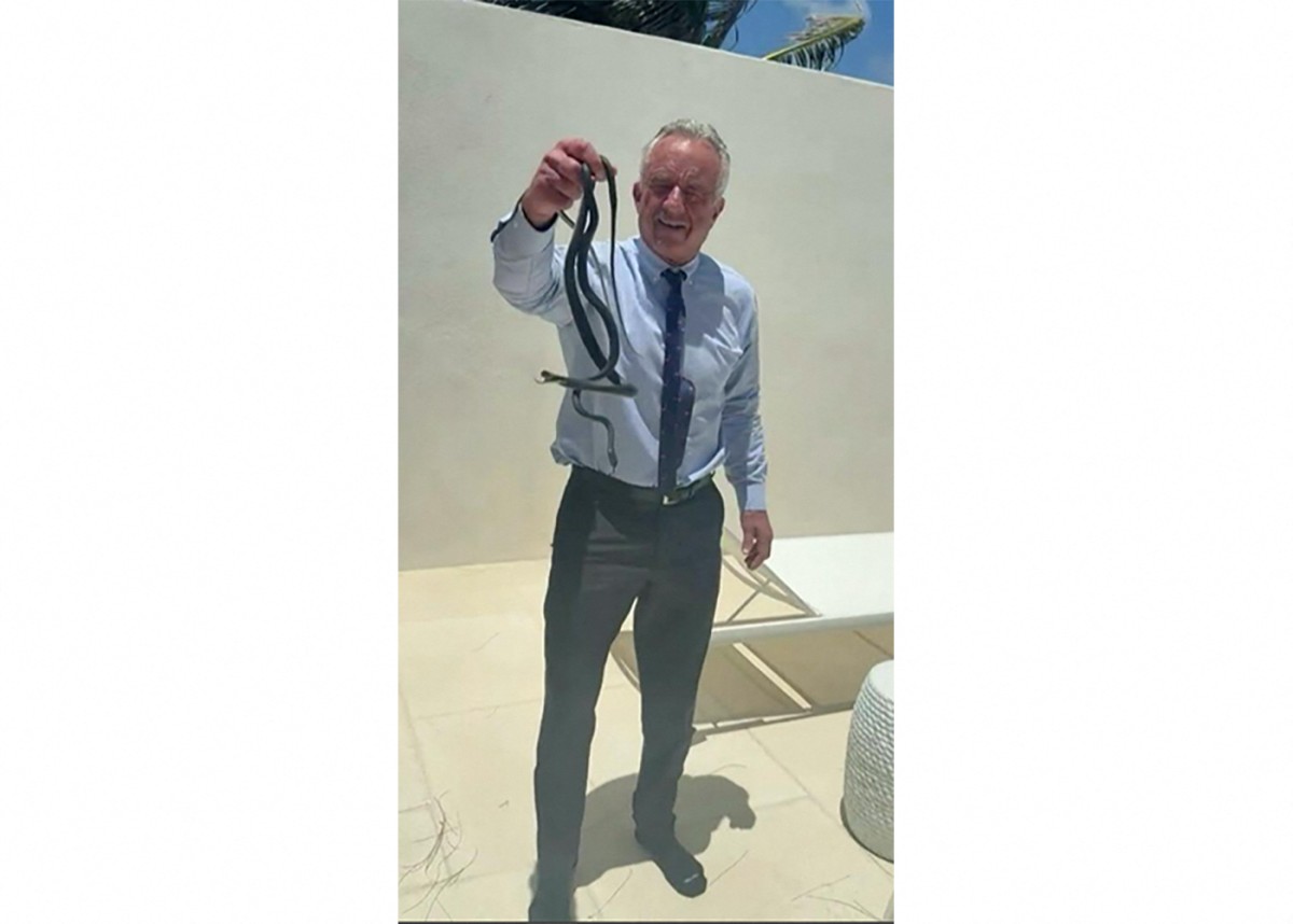 UGC: US Health Secretary Kennedy Jr. posts video of himself catching snakes